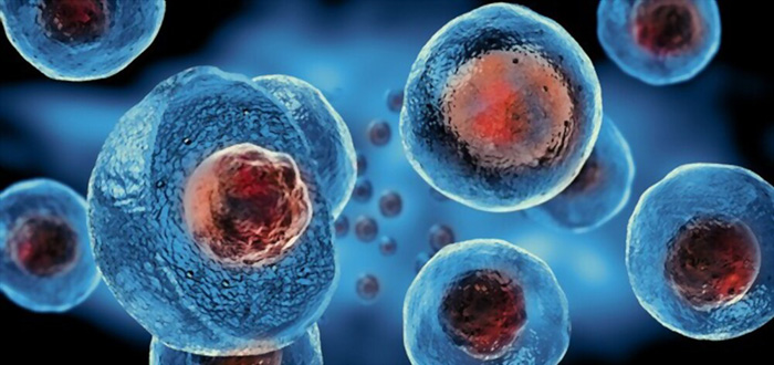 Cell Therapy
Turnkey Project